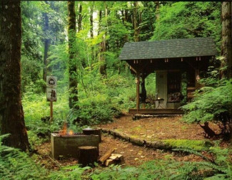 Campground Forest Shelter