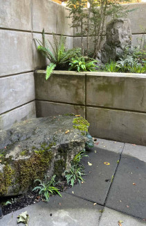 Sunken Patio Garden